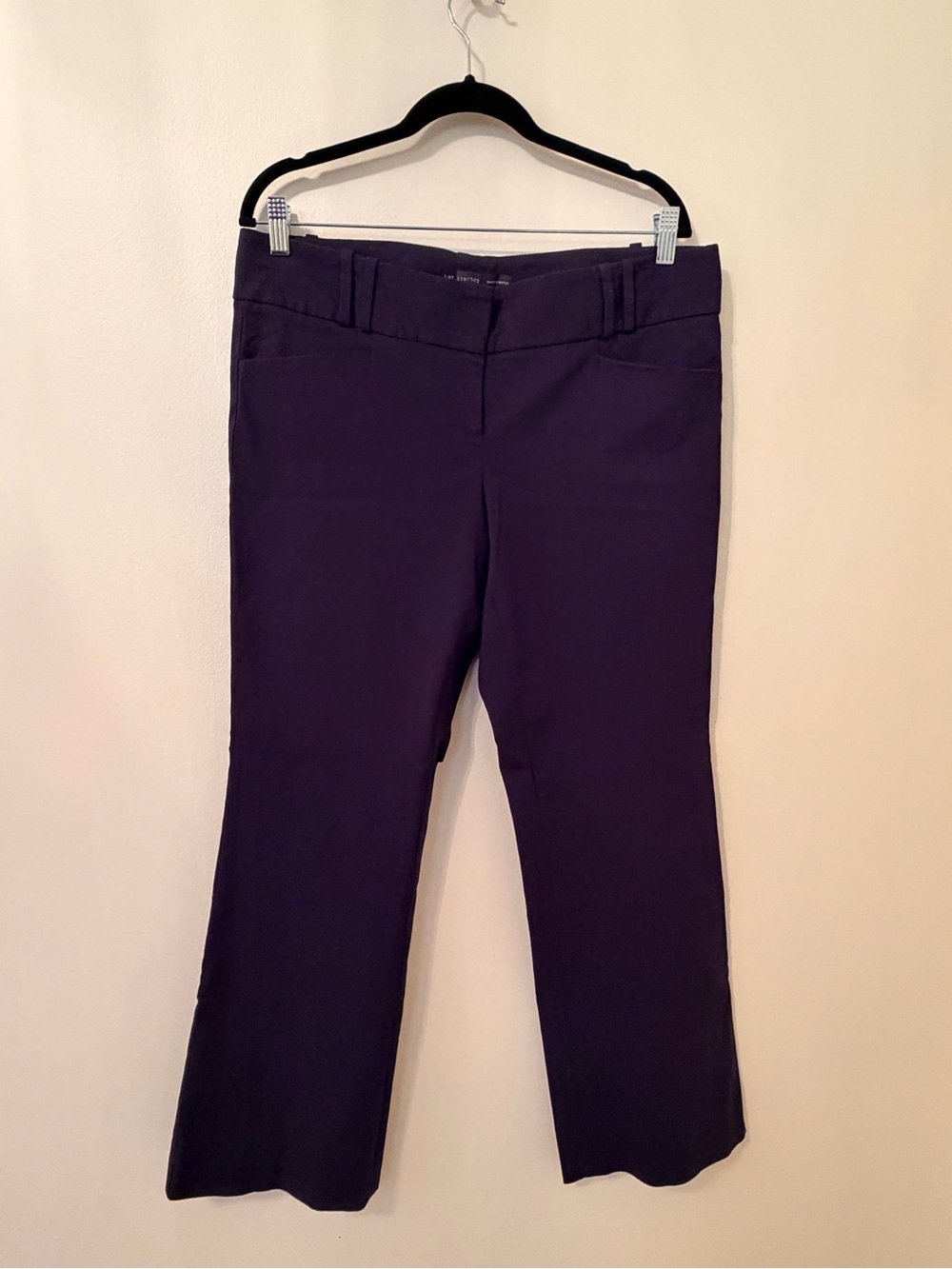 The Limited Navy Exact Stretch Dress Pants